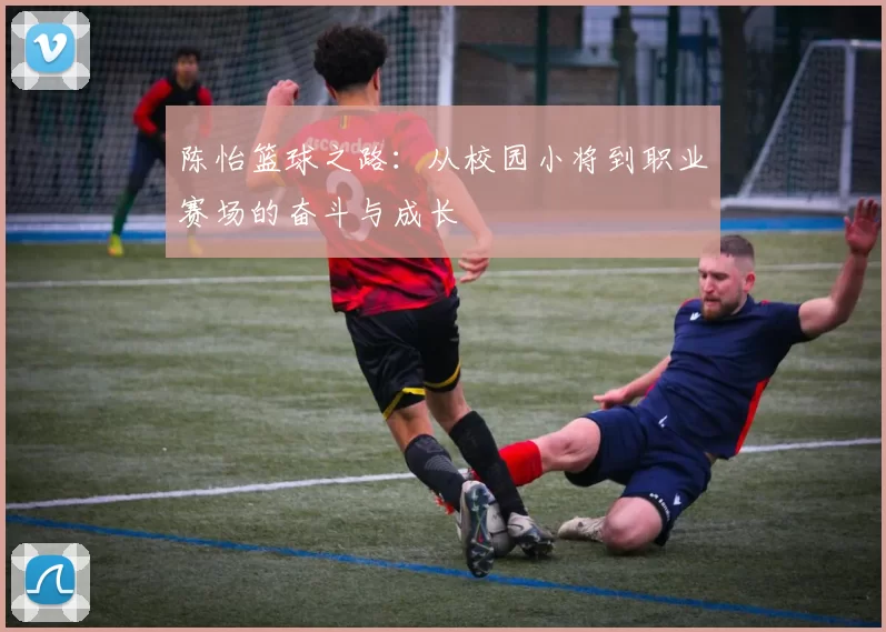 陈怡篮球之路：从校园小将到职业赛场的奋斗与成长